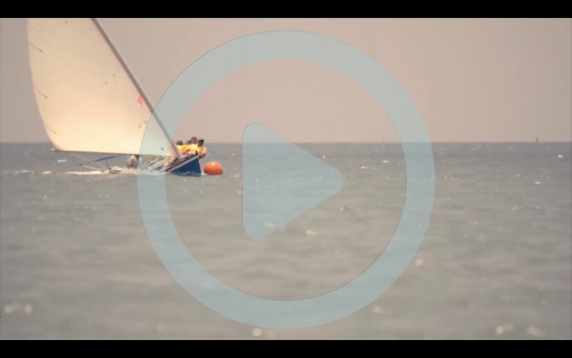 Cat boats 4